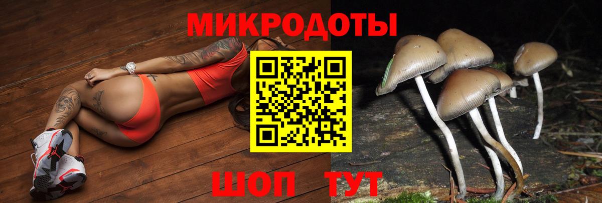 Псилоцибиновые грибы MAGIC MUSHROOMS  Вход с VPN  Югорск 